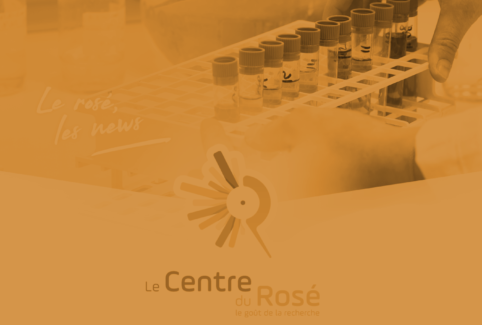 Newsletter Centre du Rosé
